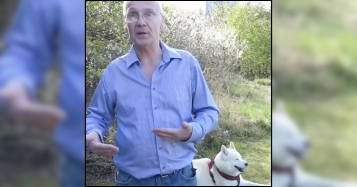 Husky Dog Discovers Something 'Concerning' In Local Park